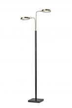 AFJ - Adesso 4127-01 - Rowan LED Floor Lamp with Smart Switch